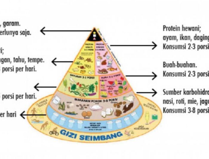 Pentingnya Nutrisi Seimbang Setiap Hari
