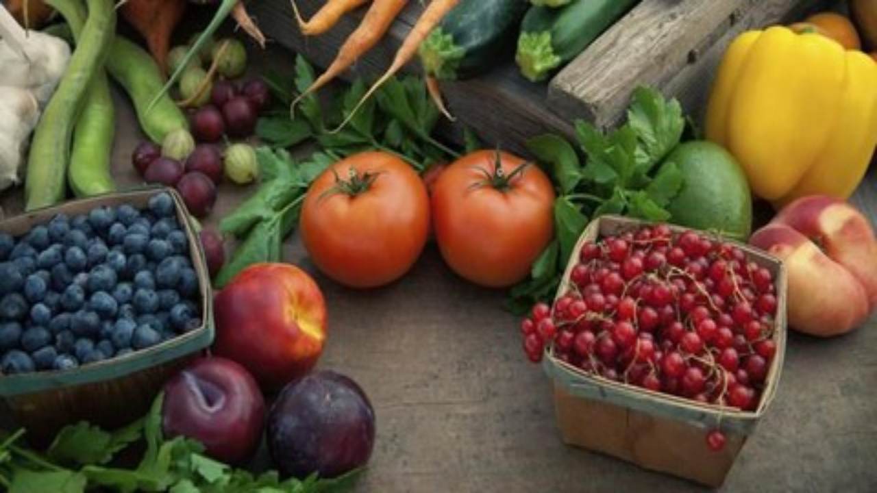 Menu Harian Diet Paleo yang Praktis dan Lezat untuk Pemula