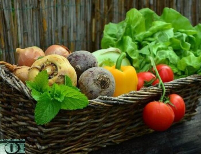 Apa Itu Diet Vegan: Perjalanan Gaya Hidup Berbasis Tumbuhan yang Semakin Diminati