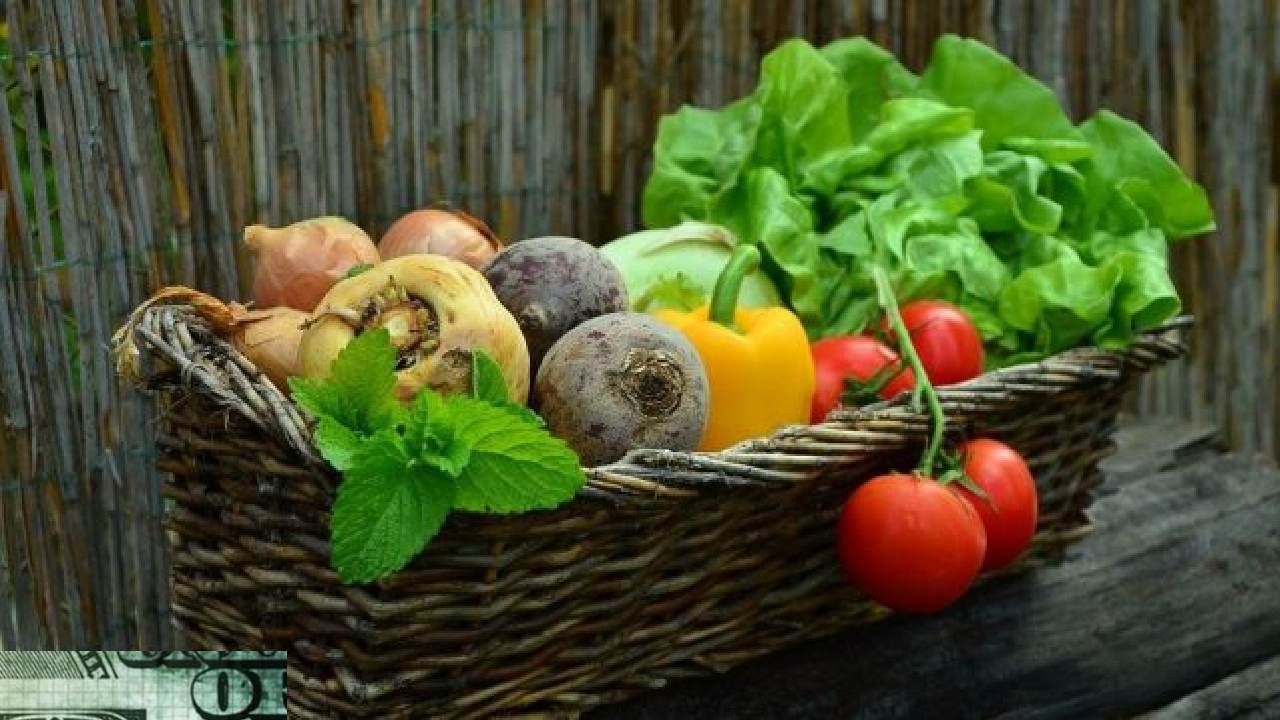 Apa Itu Diet Vegan: Perjalanan Gaya Hidup Berbasis Tumbuhan yang Semakin Diminati