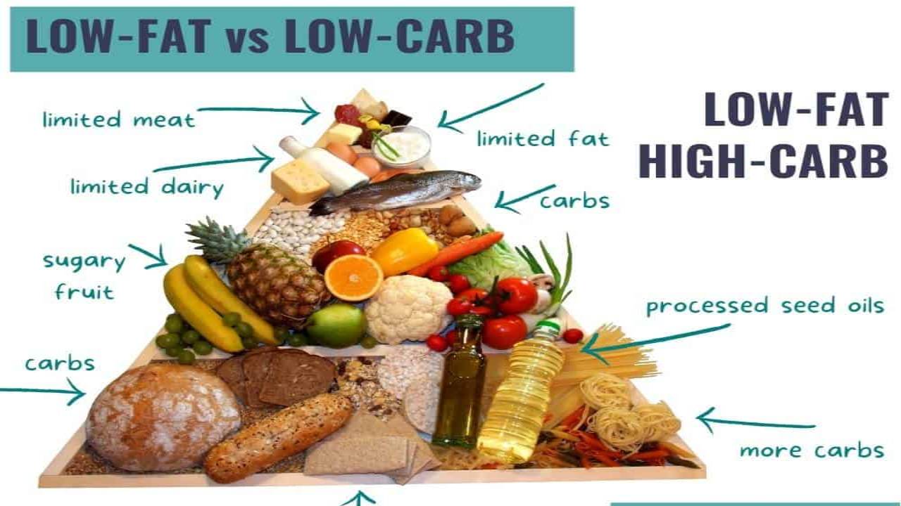 Low-Carb & Rendah Lemak: Tren Pola Makan yang Mencari Titik Seimbang